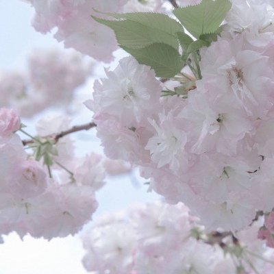 Furry绘画改稿技巧兽圈群